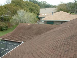 Roof Cleaning Before