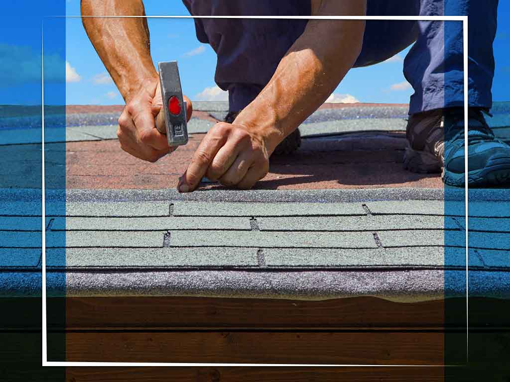 The Importance of Professional Roofing Maintenance